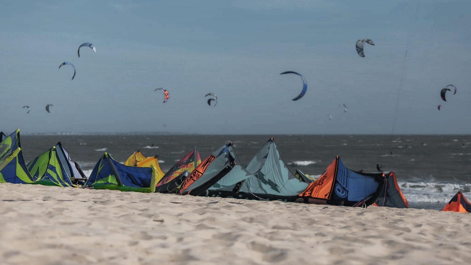Kites rigged in a row along the sand at Mui Ne, with more kites flying over the bay behind them.