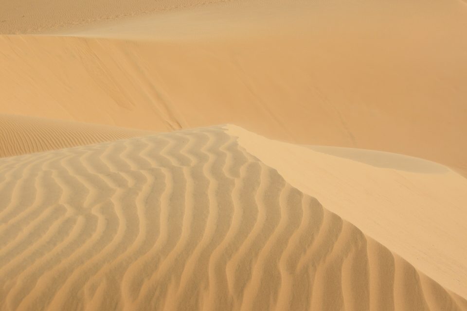 Wind ripples running across the orange sand of a dune at Mui Ne, the crest curving away against a pale sky.