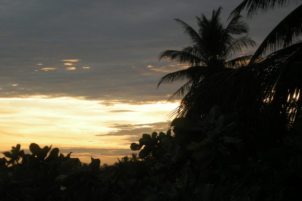 The sun going down over Mui Ne, with coconut palms and trees in silhouette against a bright band of sky.