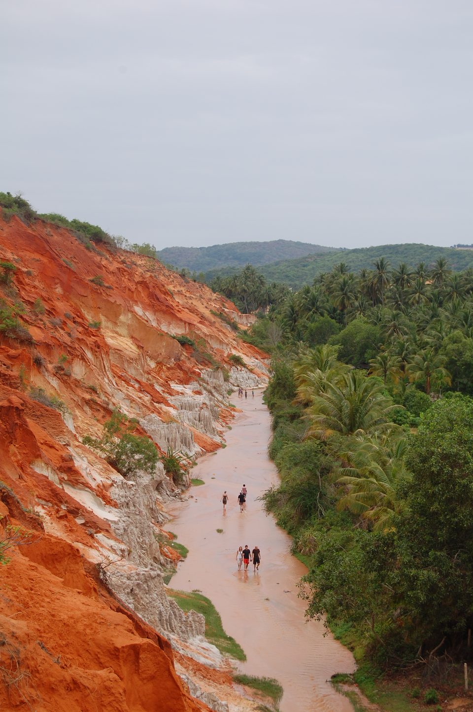 Fairy Stream seen from the hill above it: a pale, shallow stream winding between red sandstone cliffs and a bank of palms, with people walking up the water.